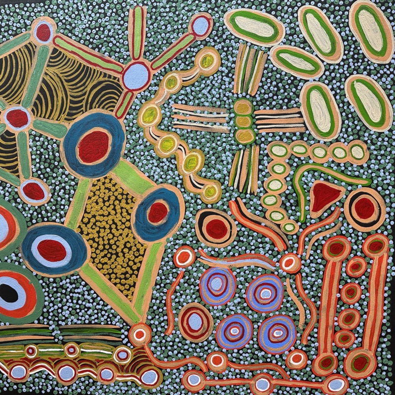 Norma Bryant Minyma Kultjara 114 x 135cm 2023 sq